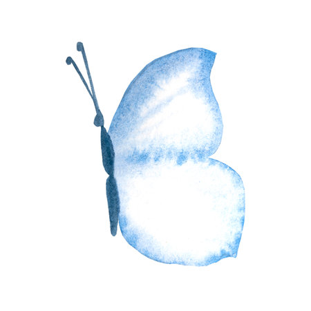 Blue watercolor butterfly illustration, isolated on white backgroundの写真素材