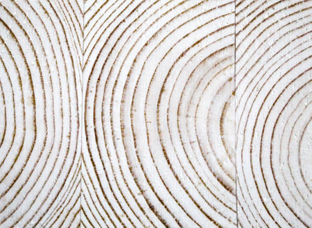Wooden stamp texture, annual rings backgroundの写真素材