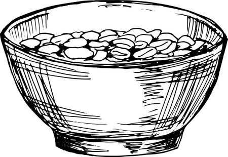 Monochrome vintage sketch of a bowl filled with oatmeal or cereal flakes. Perfect for breakfast packaging or healthy food design.のイラスト素材