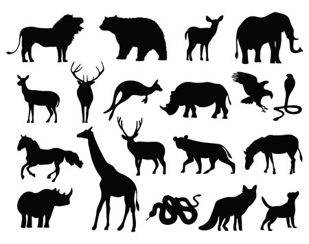 Silhouette animals collection.Vector illustrationのイラスト素材
