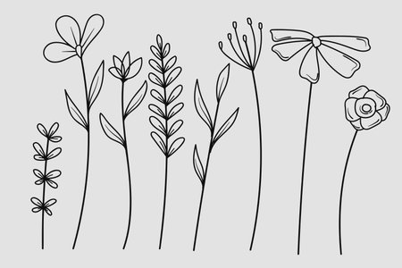Hand Drawing flowers Botanical collection.Vector illustrationのイラスト素材
