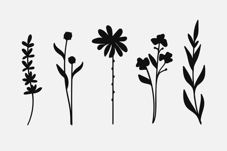 Silhouette Leaves branch and floral plants elements collection.Vector illustrationのイラスト素材