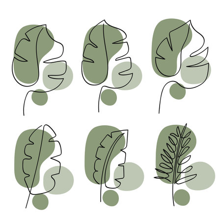 Leaves one continuous line art bohemian design collection with monstera leaf, palm leaf, and banana leaf.Vector illustrationのイラスト素材