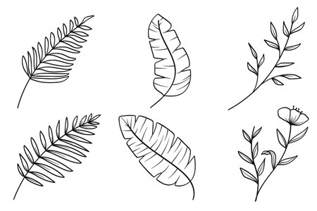 Botanical line art collection features hand-drawn illustrations of palm leaves, flowers, and banana leaves.Vector illustrationのイラスト素材