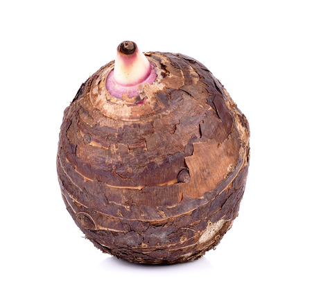 Taro isolated on white background.の写真素材