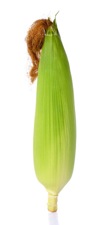 raw corn isolated on the white background.