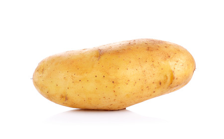 Raw Potato isolated on the white background.の写真素材