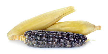 Corn isolated on the white background .の写真素材