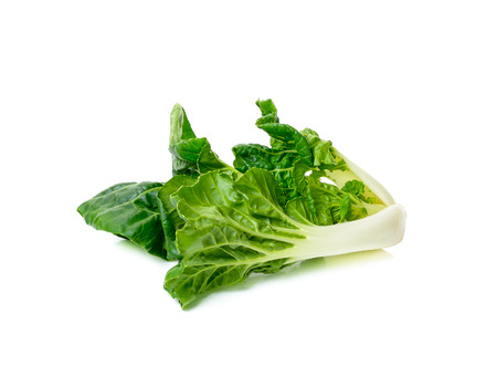 Bok choy vegetable isolated on the white background.の写真素材