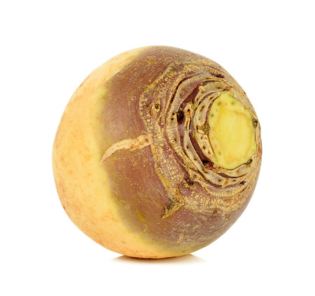 Swede isolated on the white background .の写真素材