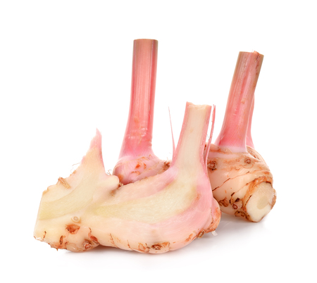 Ginger isolated on the white background .の写真素材