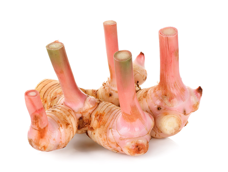 Galangal isolated on the white background .の写真素材