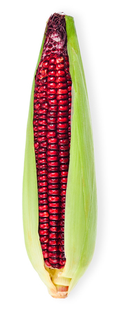 Corn isolated on white with clipping path.