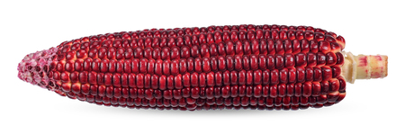 Purple corn isolated on white with clipping pathの写真素材