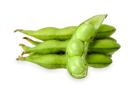 Green soy bean isolated on white clipping pathの写真素材