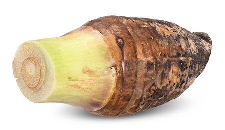 taro fruit isolated on white, taro clipping pathの写真素材