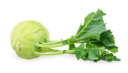 kohlabi vegetable isolated on white background. kohlabi clipping pathの写真素材