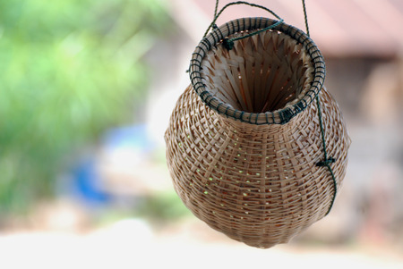 &#3642;&#3642;&#3642;Basketryの写真素材