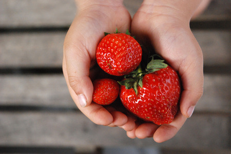 Strawberry berries in both handsの写真素材