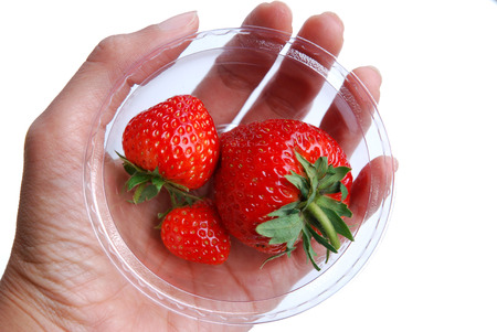 Story of a handful of red berriesの写真素材