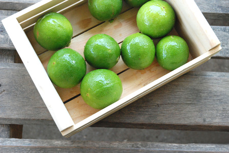 lemons greenの写真素材