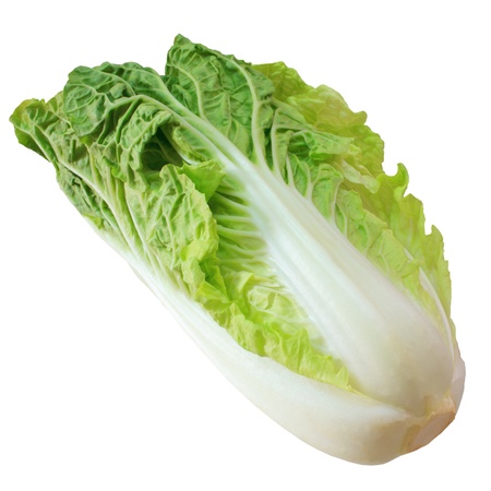 Chinese cabbage isolated on white background の写真素材