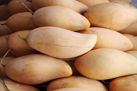 sweet mangoes on saleの写真素材