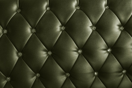 pattern of metalic green and gray leather with crystal decoratedの写真素材