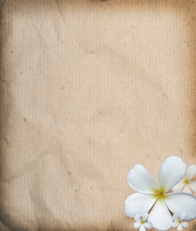 old paper texture  with frangipani flowers use as backgroundの写真素材