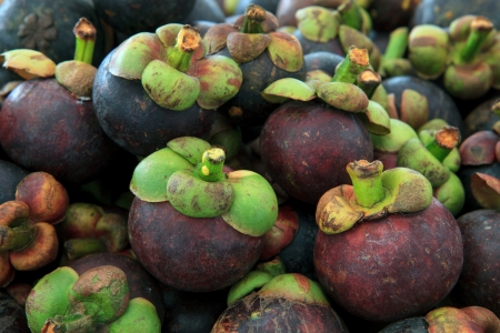 Fresh Mangosteen  for sell in marketの写真素材