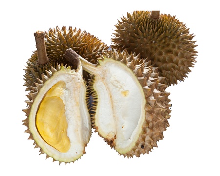 durian fruits isolated whiteの写真素材