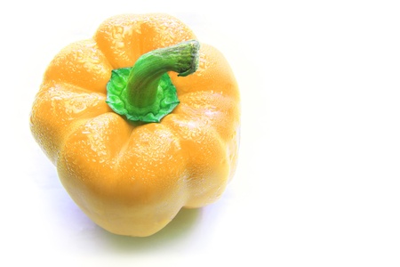 yellow paprika chilli with freshness dew water in studio lightの写真素材