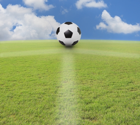 soccer football on green grass field の写真素材