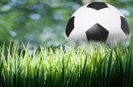 football on green grassの写真素材