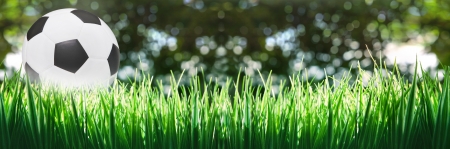 panorama of soccer football on green grassの写真素材