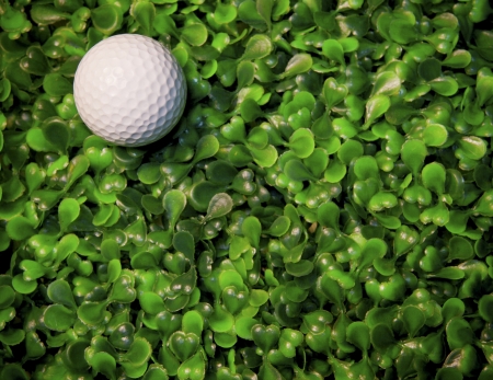 golf ball on green grassの写真素材