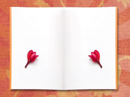 empty paper and red frangipani flowers の写真素材