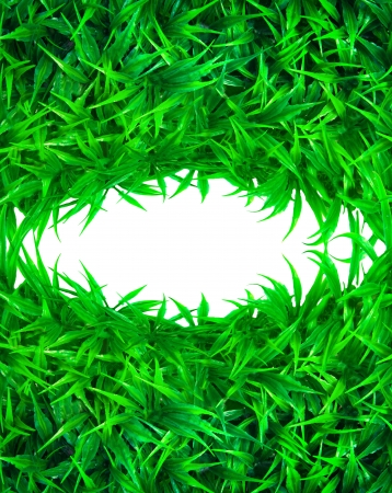 green grass and white spaceの写真素材