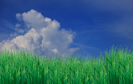 green grass leaves fore ground and blue sky white cloud background use as natural scene の写真素材