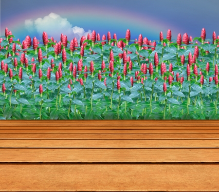 green park and blue sky rainbow and wood terrace backgroundの写真素材
