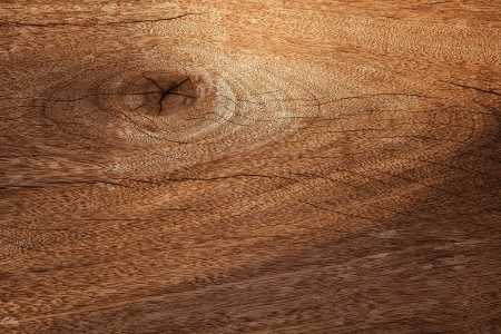 wood bark texture use as natural background の写真素材