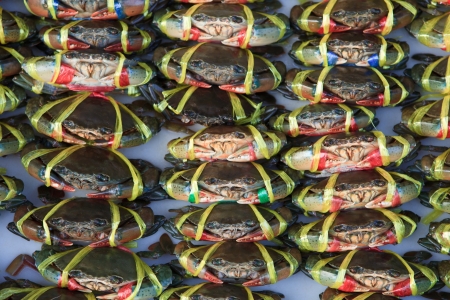 live crabs ready to be cooked in a market の写真素材