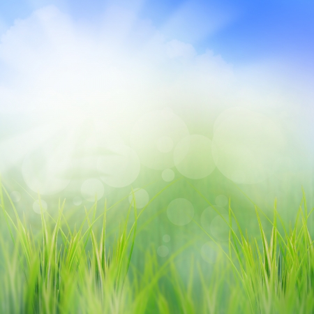 scene of sun rising in morning of summer season use as nature backgroundの写真素材