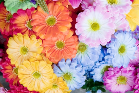 colorful of artificial gerbera flower bloomingの写真素材