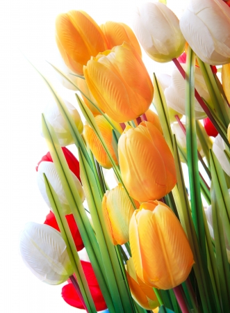 colorful of artificial tulip flower with white backgroundの写真素材