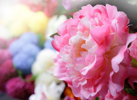 close up blooming of artificial flower in light backgroundの写真素材