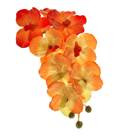 artificial of blossom orchid flowers bouquet isolated on white balckgroundの写真素材