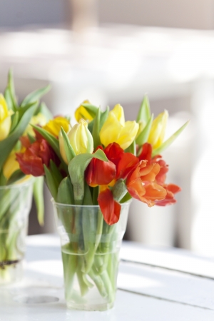 yellow and blssom tulip flower in a glass decorated on white tableの写真素材