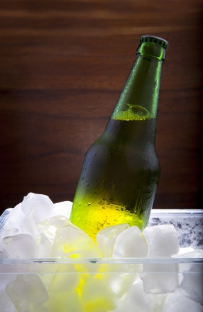 lager beer in ice cooler beverage themeの写真素材