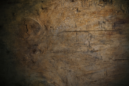 texture of bark wood use as natural background yellow toneの写真素材